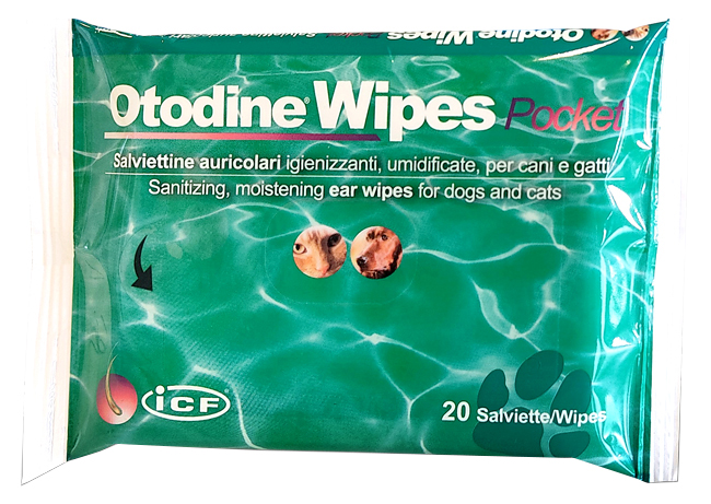 OTODINE WIPES POCKET 20 PEZZI - Farmaunclick.it