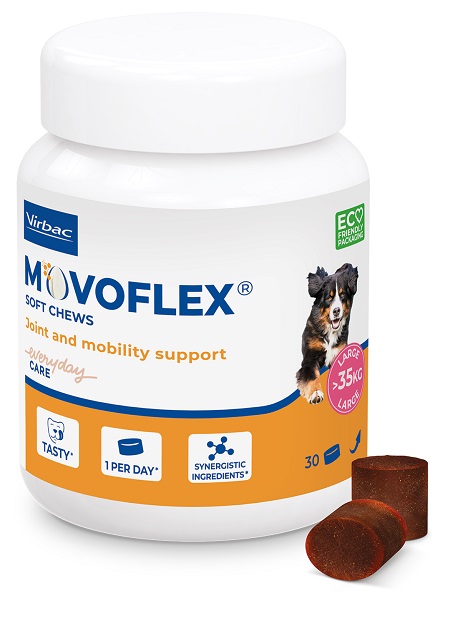 MOVOFLEX L 30 COMPRESSE MASTICABILI - Farmaunclick.it